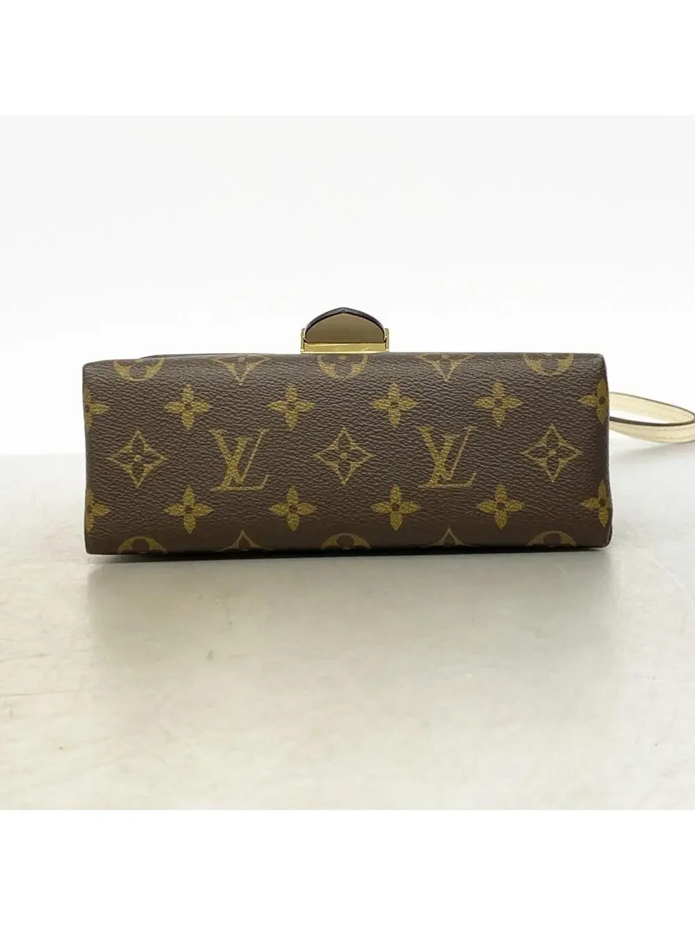 Louis Vuitton elevate your